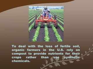 To deal with the loss of fertile soil, organic farmers in the U.S. rely on compost to provide nutrients for their crops rather than use synthetic chemicals. 