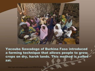 http://ngm.nationalgeographic.com/2008/09/soil/richardson-photography Yacouba Sawadogo of Burkina Faso introduced a farming technique that allows people to grow crops on dry, harsh lands. This method is called zaï. 