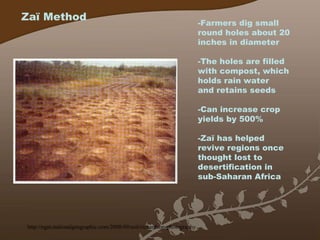 Zaï Method -Farmers dig small round holes about 20 inches in diameter -The holes are filled with compost, which holds rain water and retains seeds -Can increase crop yields by 500% -Zaï has helped revive regions once thought lost to desertification in sub-Saharan Africa http://ngm.nationalgeographic.com/2008/09/soil/richardson-photography 