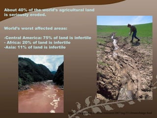About 40% of the world’s agricultural land is seriously eroded. World’s worst affected areas: Central America: 75% of land is infertile Africa: 20% of land is infertile Asia: 11% of land is infertile http://www.guardian.co.uk/environment/2007/aug/31/climatechange.food 