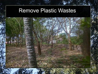 Remove Plastic Wastes  
