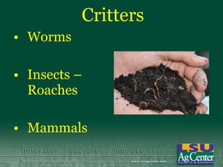 Critters
• Worms

• Insects –
  Roaches

• Mammals
 