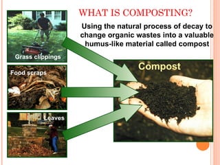 Humus Composting process of composting and factors affecting on composting | PPT