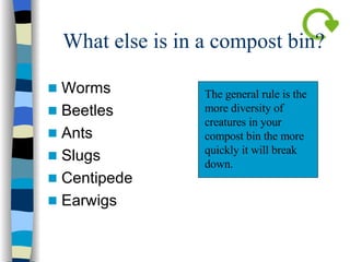 What else is in a compost bin? Worms Beetles Ants Slugs Centipede  Earwigs  The general rule is the more diversity of creatures in your compost bin the more quickly it will break down.  