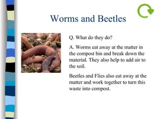 Worms and Beetles Q. What do they do? A. Worms eat away at the matter in the compost bin and break down the material. They also help to add air to the soil.  Beetles and Flies also eat away at the matter and work together to turn this waste into compost.  