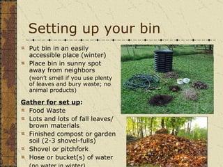 Setting up your bin Put bin in an easily accessible place (winter) Place bin in sunny spot away from neighbors (won’t smell if you use plenty of leaves and bury waste; no animal products) Gather for set up : Food Waste Lots and lots of fall leaves/ brown materials  Finished compost or garden soil (2-3 shovel-fulls) Shovel or pitchfork Hose or bucket(s) of water (no water in winter) 