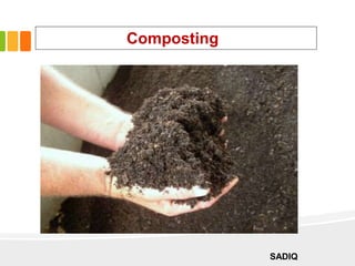 Composting
.
SADIQ
 