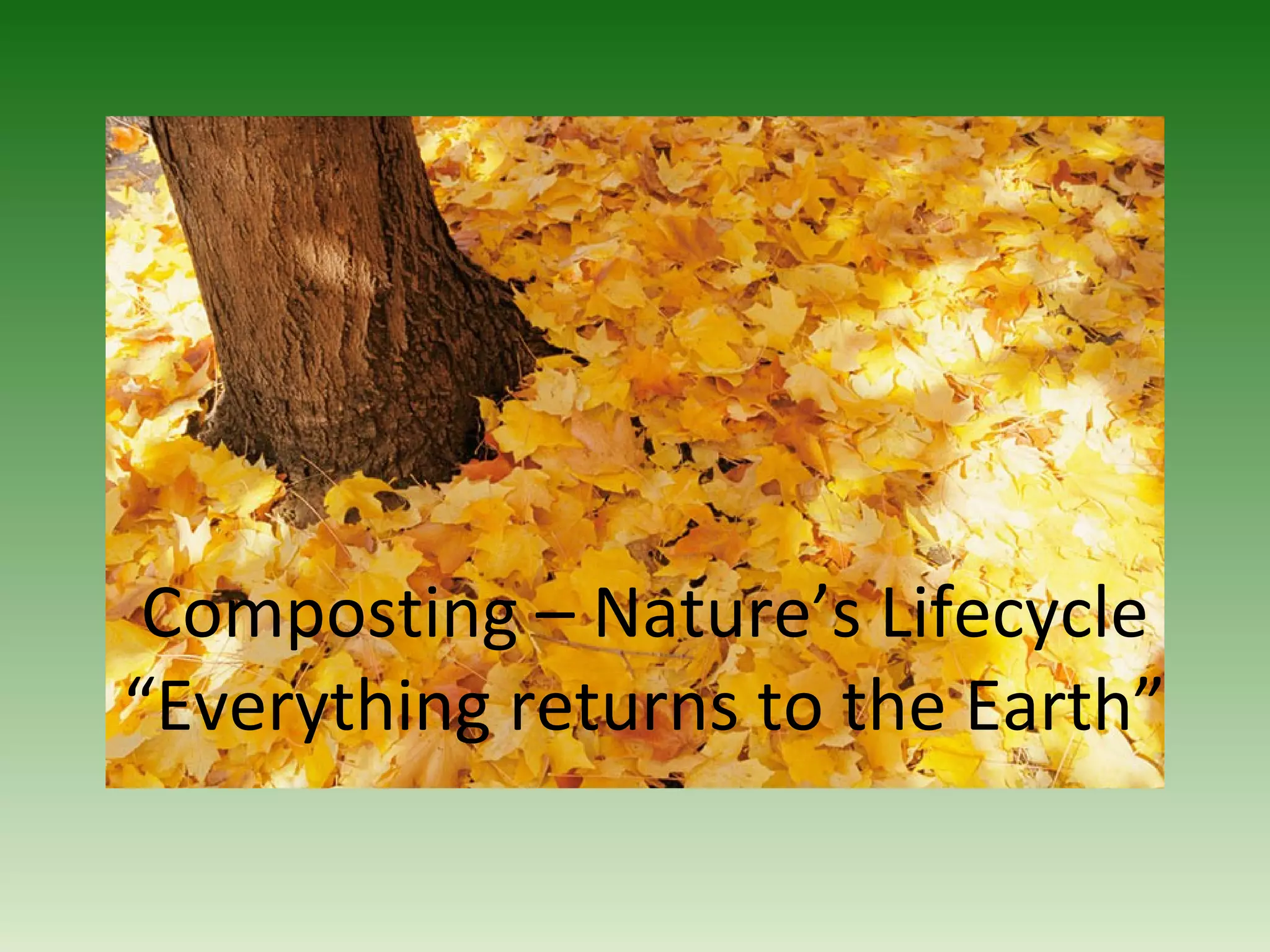 Composting – Nature’s Lifecycle
“Everything returns to the Earth”
 