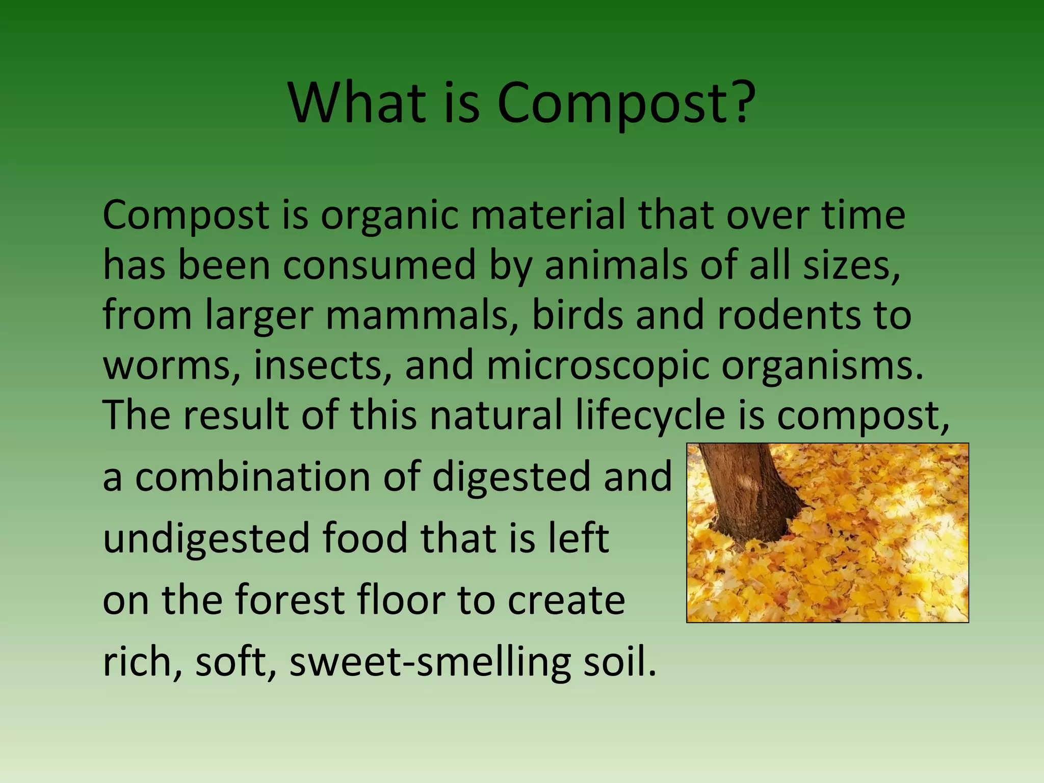 What is Compost?
Compost is organic material that over time
has been consumed by animals of all sizes,
from larger mammals, birds and rodents to
worms, insects, and microscopic organisms.
The result of this natural lifecycle is compost,
a combination of digested and
undigested food that is left
on the forest floor to create
rich, soft, sweet-smelling soil.
 