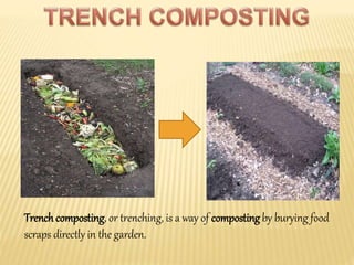 Trenchcomposting, or trenching, is a way of composting by burying food
scraps directly in the garden.
 