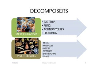 DECOMPOSERS
                       • BACTERIA
                       • FUNGI
                       • ACTINOMYCETES
     MICROORGANISM     • PROTOZOA


                       • MITES
                       • MILLIPEDES
                       • INSECTS
                       • SOWBUGS
                       • EARTHWORMS
       INVERTEBRATES   • SNAILS

10/8/2012              Wirajasa Teknik Industri   4
 
