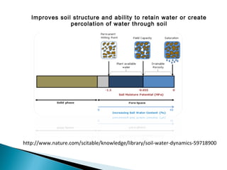 Compost, science behind it and the how and why of doing it | PPT