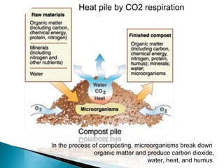 Compost, science behind it and the how and why of doing it | PPT