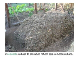 O composto é a base da agricultura natural, seja ela rural ou urbana.
 