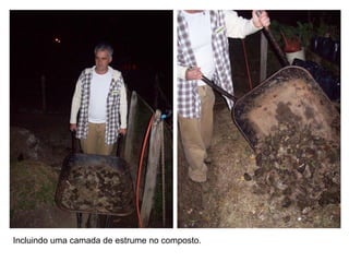 Incluindo uma camada de estrume no composto.
 