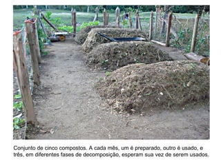 Conjunto de cinco compostos. A cada mês, um é preparado, outro é usado, e
três, em diferentes fases de decomposição, esperam sua vez de serem usados.
 