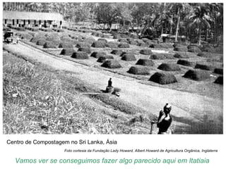Centro de Compostagem no Sri Lanka, Ásia
                    Foto cortesia da Fundação Lady Howard, Albert Howard de Agricultura Orgânica, Inglaterra

   Vamos ver se conseguimos fazer algo parecido aqui em Itatiaia
 