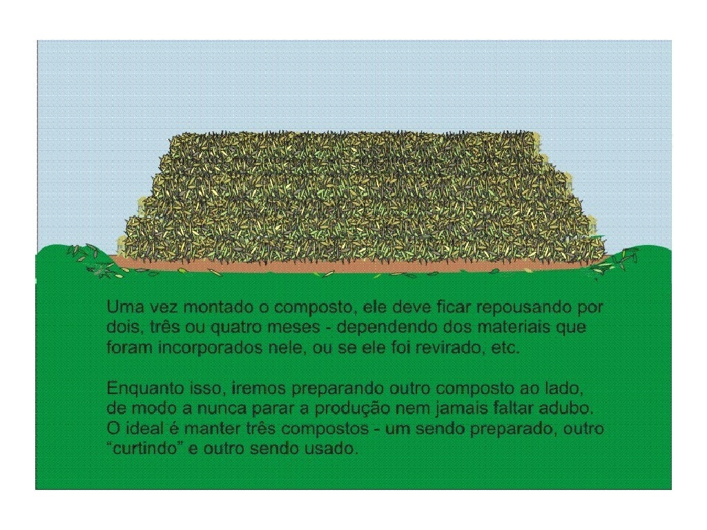 Fgv Sp A Monocloração Do Composto Organico
