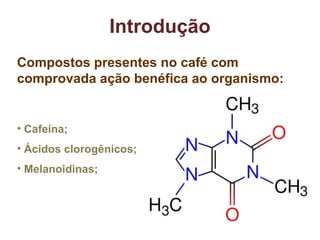 Compostos presentes no café com comprovada ação benéfica ao organismo: Cafeína; Ácidos clorogênicos; Melanoidinas; Introdução 