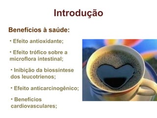 Benefícios à saúde: Efeito antioxidante; Inibição da biossíntese dos leucotrienos; Efeito anticarcinogênico; Efeito trófico sobre a microflora intestinal; Introdução Benefícios cardiovasculares; 
