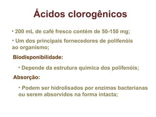 Ácidos clorogênicos 200 mL de café fresco contém de 50-150 mg; Um dos principais fornecedores de polifenóis ao organismo; Depende da estrutura química dos polifenóis; Biodisponibilidade: Podem ser hidrolisados por enzimas bacterianas ou serem absorvidos na forma intacta; Absorção: 