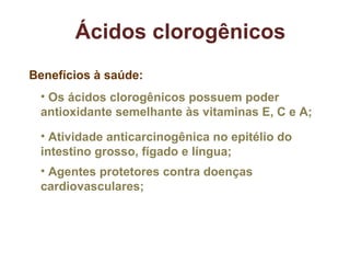 Ácidos clorogênicos Benefícios à saúde: Agentes protetores contra doenças cardiovasculares; Atividade anticarcinogênica no epitélio do intestino grosso, fígado e língua; Os ácidos clorogênicos possuem poder antioxidante semelhante às vitaminas E, C e A; 