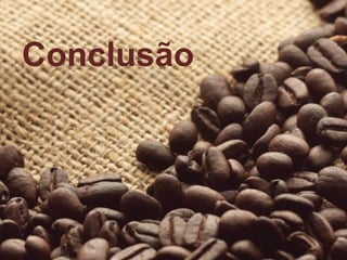Conclusão 