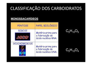 CLASSIFICAÇÃO DOS CARBOIDRATOS
MONOSSACARÍDEOS
C5H10O5
C5H10O4
 