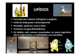 LIPÍDIOS
• Formados por carbono, hidrogênio e oxigênio.
• União de ácido graxo e álcool (glicerol)
• Exemplos: gorduras, ceras e óleos
• Insolúveis na água (hidrofóbicos).
• Os lipídios mais comuns encontrados no nosso organismo
são os triglicerídeos, os fosfolipídios e os esteróides.
 