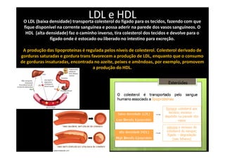 LDL e HDLO LDL (baixa densidade) transporta colesterol do fígado para os tecidos, fazendo com que
fique disponível na corrente sanguínea e possa aderir na parede dos vasos sanguíneos. O
HDL (alta densidade) faz o caminho inverso, tira colesterol dos tecidos e devolve para o
fígado onde é estocado ou liberado no intestino para excreção.
A produção das lipoproteínas é regulada pelos níveis de colesterol. Colesterol derivado de
gorduras saturadas e gordura trans favorecem a produção de LDL, enquanto que o consumo
de gorduras insaturadas, encontrada no azeite, peixes e amêndoas, por exemplo, promovem
a produção do HDL.
 