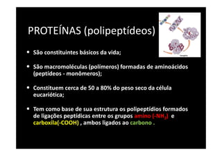 PROTEÍNAS (polipeptídeos)
• São constituintes básicos da vida;
• São macromoléculas (polímeros) formadas de aminoácidos
(peptídeos - monômeros);
• Constituem cerca de 50 a 80% do peso seco da célula
eucariótica;
• Tem como base de sua estrutura os polipeptídios formados
de ligações peptídicas entre os grupos amino (-NH2) e
carboxila(-COOH) , ambos ligados ao carbono .
 