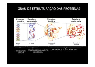GRAU DE ESTRUTURAÇÃO DAS PROTEÍNAS
SEQUÊNCIA
LINEAR
DOBRAMENTOS DOS FILAMENTOS .PRIMEIRO ENROLAMENTO
HELICOIDAL
Estrutura
primária
Estrutura
secundária
Estrutura
terciária
Estrutura
quaternária
 