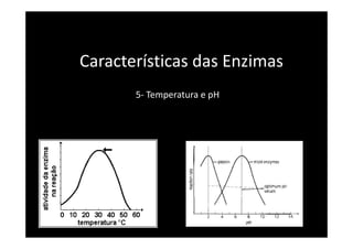 Características das Enzimas
5- Temperatura e pH
 