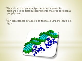 *Os aminoácidos podem ligar-se sequencialmente,
formando-se cadeias sucessivamente maiores designadas
polipéptidos.
*Por cada ligação estabelecida forma-se uma molécula de
água.
 