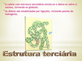 *A cadeia com estrutura secundária enrola-se e dobra-se sobre si
mesma, tornando-se globular.
*As dobras são estabilizadas por ligações, incluindo pontes de
hidrogénio.
 