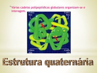 *Várias cadeias polipeptídicas globulares organizam-se e
interagem.
 