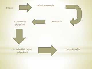 Prótidos
Molécula mais simples
Aminoácidos2 Aminoácidos
(dipeptideo)
+ 2 aminoácido – de 100
polipeptídeo)
+ de 100 (proteína)
 