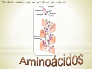 *Unidades estruturais dos péptidos e das proteínas
 