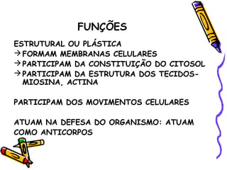 FUNÇÕES
ESTRUTURAL OU PLÁSTICA
 FORMAM MEMBRANAS CELULARES
 PARTICIPAM DA CONSTITUIÇÃO DO CITOSOL
 PARTICIPAM DA ESTRUTURA DOS TECIDOS-
  MIOSINA, ACTINA

PARTICIPAM DOS MOVIMENTOS CELULARES

ATUAM NA DEFESA DO ORGANISMO: ATUAM
COMO ANTICORPOS
 