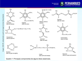 Imagem:
SEE-PE,
redesenhado
a
partir
de
imagem
de
Autor
Desconhecido
 