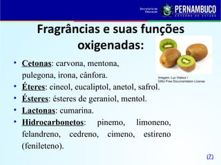 Fragrâncias e suas funções
oxigenadas:
• Cetonas: carvona, mentona,
pulegona, irona, cânfora.
• Éteres: cineol, eucaliptol, anetol, safrol.
• Ésteres: ésteres de geraniol, mentol.
• Lactonas: cumarina.
• Hidrocarbonetos: pinemo, limoneno,
felandreno, cedreno, cimeno, estireno
(fenileteno).
Imagem: Luc Viatour /
GNU Free Documentation License
(7)
 