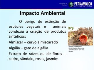 Impacto Ambiental
O perigo de extinção de
espécies vegetais e animais
conduziu à criação de produtos
sintéticos:
Almíscar – cervo almiscarado
Algália – gato de algália
Extrato de raízes ou de flores –
cedro, sândalo, rosas, jasmim
Imagem: José-Manuel
Benito/Creative Commons
Attribution-Share Alike 2.5
Generic
 