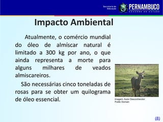 Impacto Ambiental
Atualmente, o comércio mundial
do óleo de almíscar natural é
limitado a 300 kg por ano, o que
ainda representa a morte para
alguns milhares de veados
almiscareiros.
São necessárias cinco toneladas de
rosas para se obter um quilograma
de óleo essencial. Imagem: Autor Desconhecido/
Public Domain
(8)
 