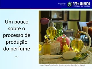 Um pouco
sobre o
processo de
produção
do perfume
...
Imagem: Angela Andriot/Creative Commons Attribution-Share Alike 3.0 Unported
 