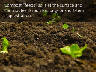 Compost to the Rescue -- 3 reasons to fix the soil and save the planet Slide 11