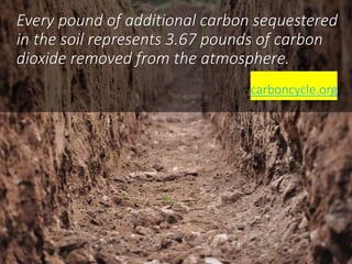 Compost to the Rescue -- 3 reasons to fix the soil and save the planet Slide 17