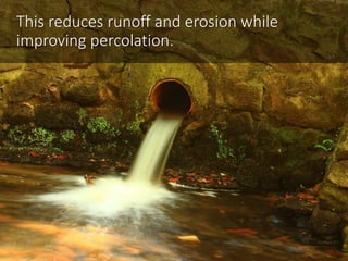 Compost to the Rescue -- 3 reasons to fix the soil and save the planet Slide 37