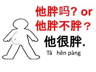 他胖吗? or 
他胖不胖？ 
他很胖. 
Tā hěn pàng 
 