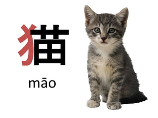 犭苗 
māo 
 