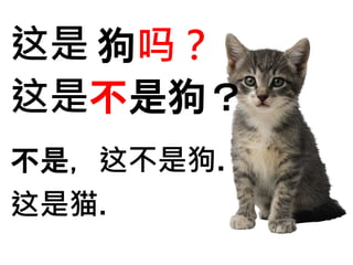 这是狗吗？ 
这是不是狗？ 
不是，这不是狗. 
这是猫. 
 